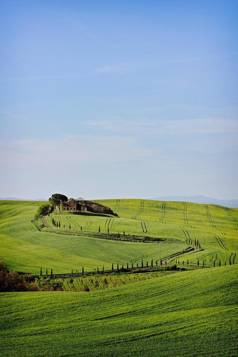 Tuscany Vineyard Retreats